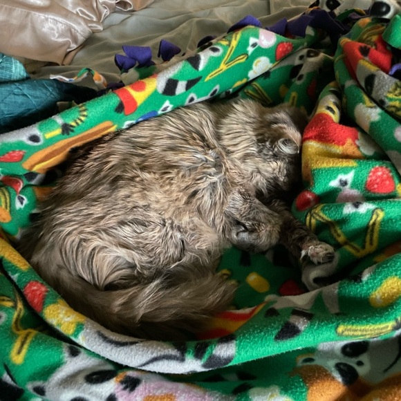 Meet your Posher, Kara - Picture 5 of 5